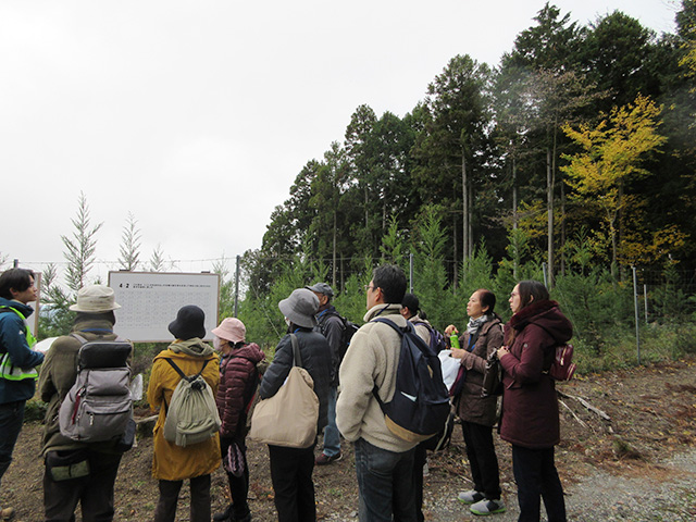 森の前の看板を見ながら、説明者から説明を聞く参加者たち