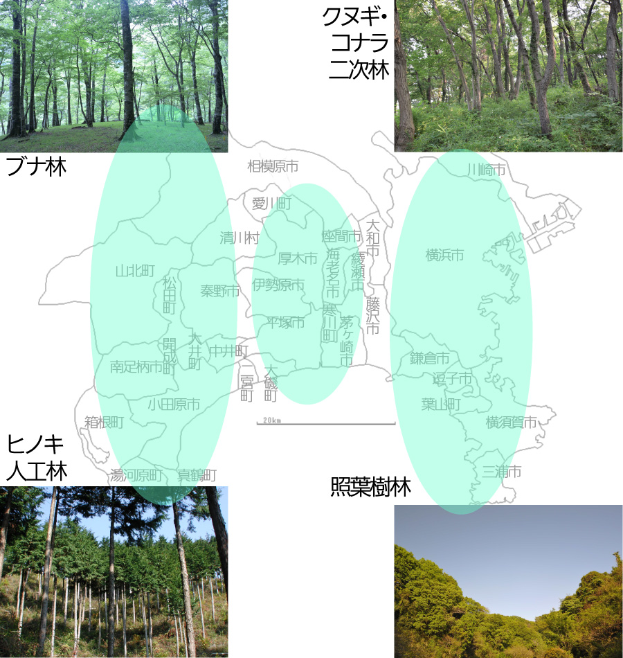 神奈川県の森林の概要図