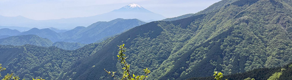 丹沢を一望する風景