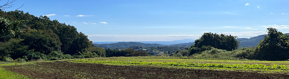 里山の風景（開けた畑、森、晴天）