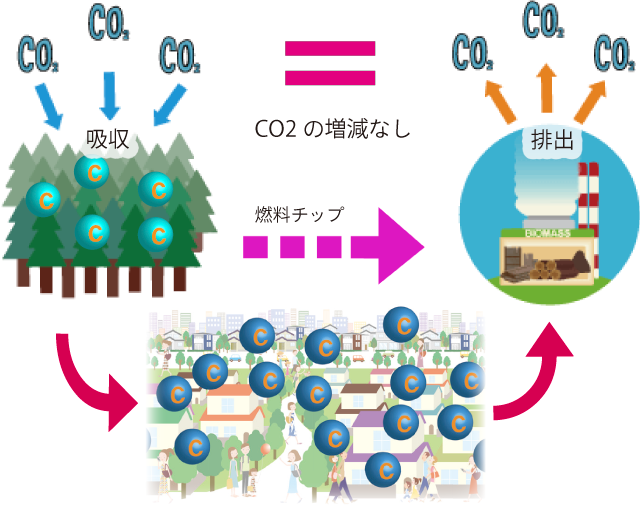 二酸化炭素循環と森林のイメージイラスト