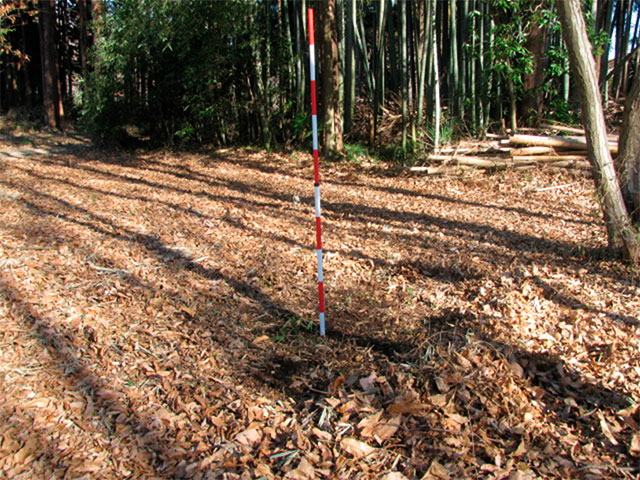 調査箇所（赤白の測量棒を立てて位置を示している）
