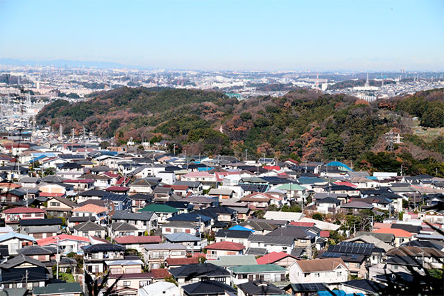 里山の現状の写真
