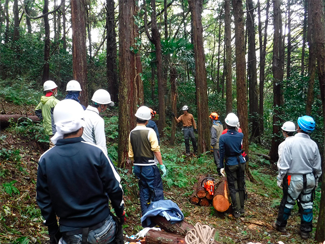 森林の中での講習の様子。針葉樹林でヘルメットを被った人たちが講師の説明を聞いている