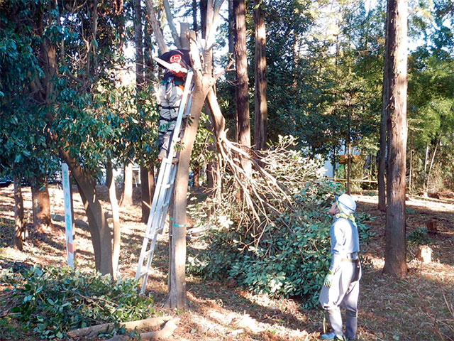 森林管理の様子（写真）