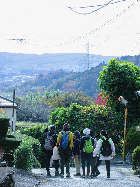 下り坂の坂道から、遠くに輝く相模湾を眺める参加者たち